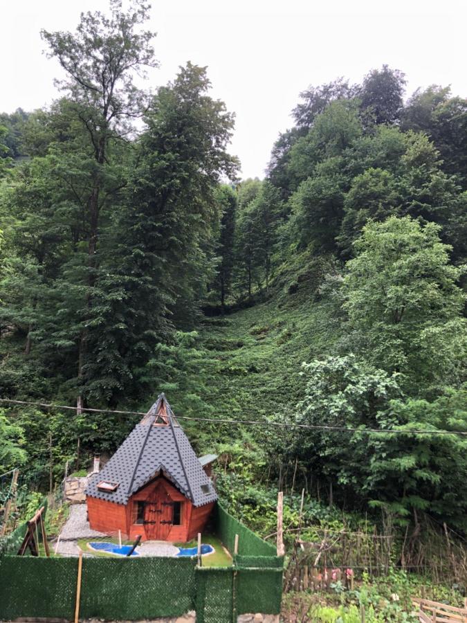 Afara Bungalows Otel & Cafe Rize Exteriér fotografie